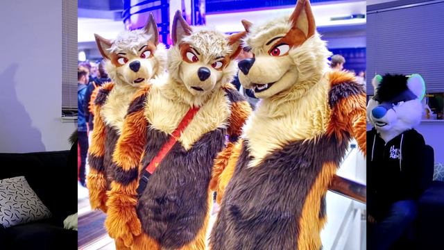 The Best Water To Hydrate In Fursuit смотреть онлайн