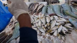Рыбный рынок в Дубае. Такого выбора вы еще не видели