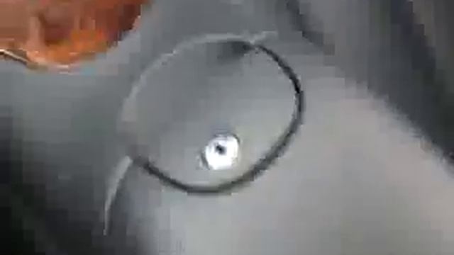 2005 Mercedes-Benz CLK-Class