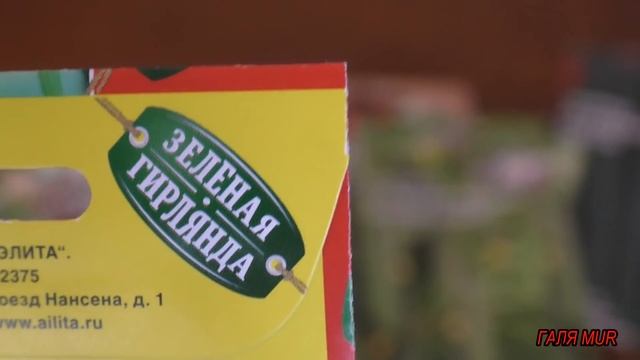 Лучшие семена огурцов. смотреть онлайн
