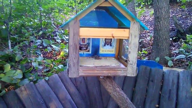 Святой источник Почаевской иконы Божией Матери смотреть онлайн