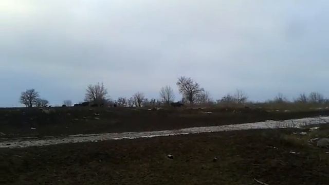 Наши барашки ) смотреть онлайн