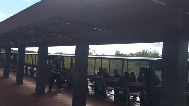 Водопады Игуасу. Аргентинская сторона. Начало парка.2016 июнь смотреть онлайн