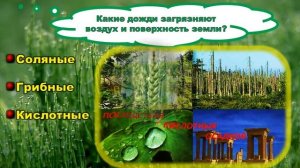 Экологическая викторина «Жить в согласии с природой»