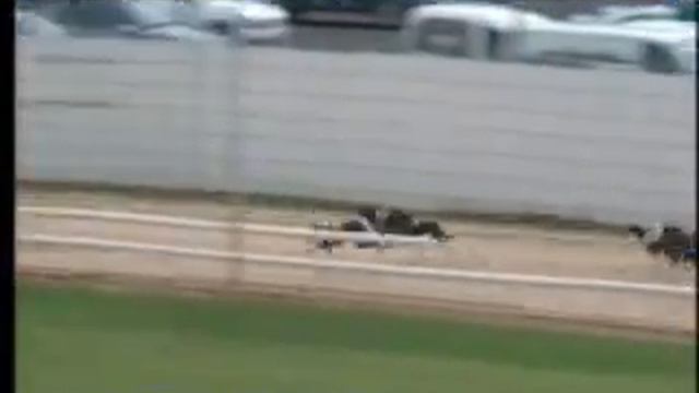 IGB - Welcome to Shelbourne Park Stadium A1 15/06/2019 Race 1 - Shelbourne Park смотреть онлайн