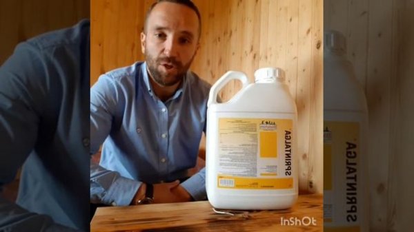 Спринталга (SPRINTALGA)