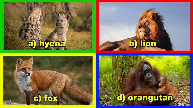 Find the WILD Animal Sound | Listening Game for Kids, Preschoolers and Kindergarten смотреть онлайн