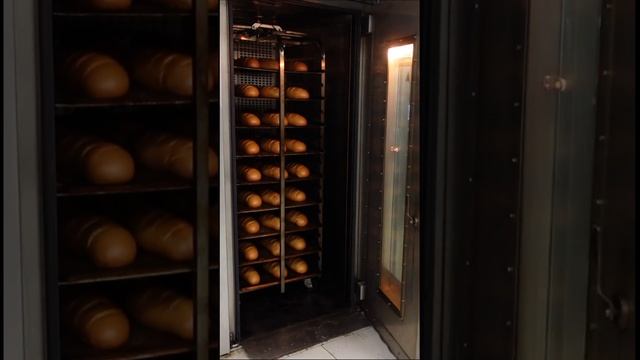 Купить ротационную печь для пекарни #xlebobor #хлебобор #видео_о_хлебе #panemor смотреть онлайн