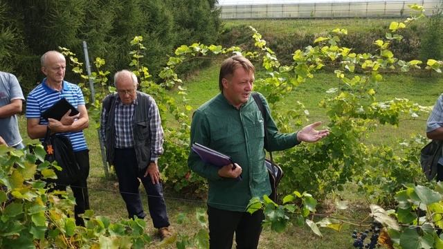 Самая большая коллекция винограда на севере смотреть онлайн