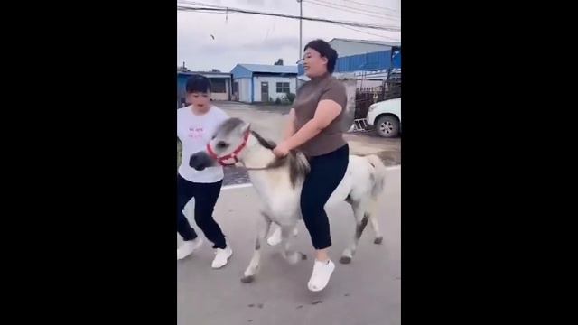 The joy of bareback riding смотреть онлайн