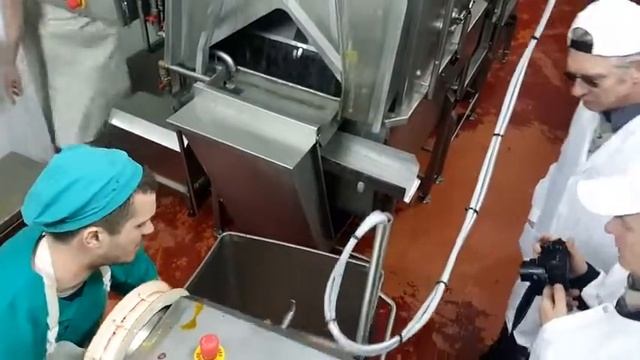 Автоматическая машина обработки черевы универсальная BW MCU 70 БэрВисент смотреть онлайн