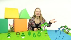 Развивающее видео: Что такое туман?