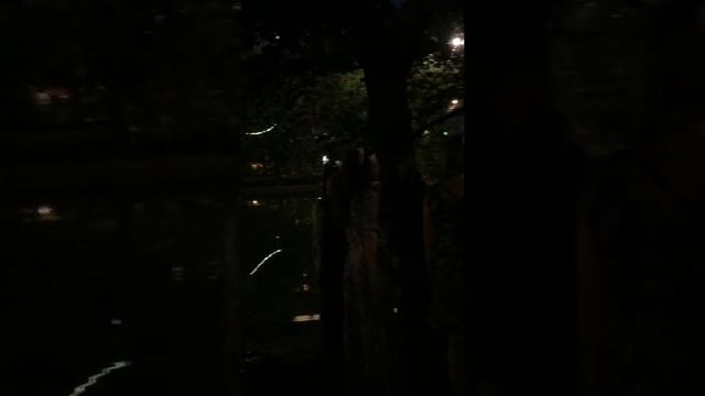 8.06.2019г. Москва , Чистые Пруды смотреть онлайн
