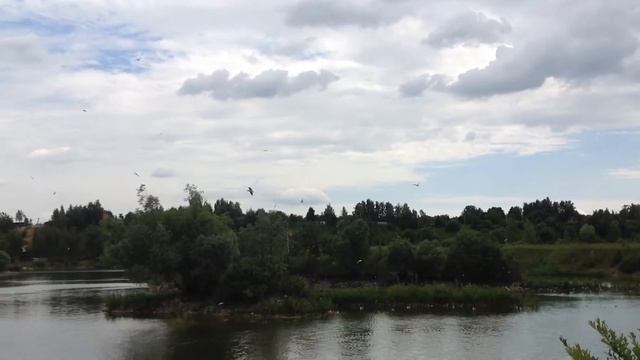 П.Барсуки Тула смотреть онлайн