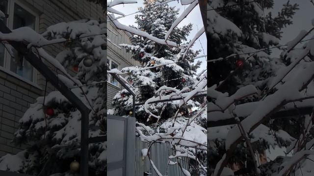 Новогодняя елка во дворе #shorts смотреть онлайн
