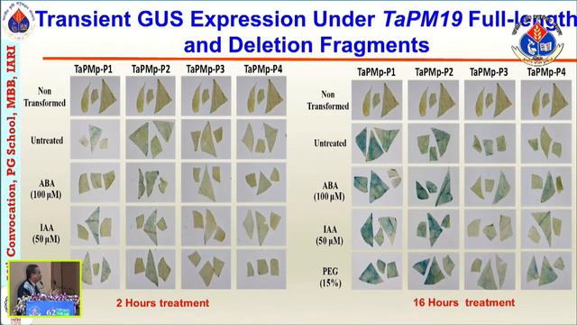 Live: 58th IARI Convocation 2020 - Day 2 - Session 4 смотреть онлайн