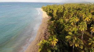 Откуда берется ветер?  I  Почемучка I Орден ежиков в тумане