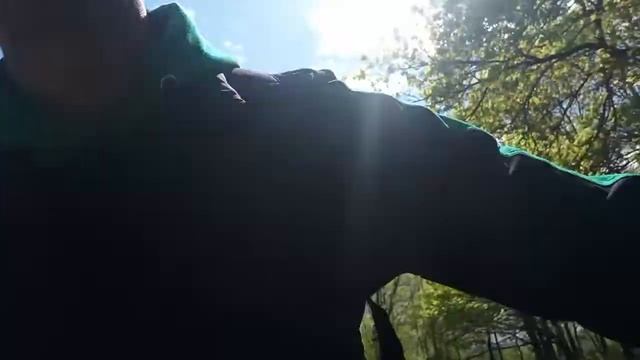ТАЙНЫ ЛЕСА - Белки смотреть онлайн