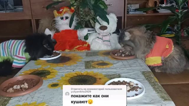 Кошки кушают в кошачьем ресторане / Cats eat смотреть онлайн