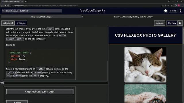 FreeCodeCamp | Learn CSS Flexbox by Building a Photo Gallery: Step 23 | Responsive Web Design смотреть онлайн