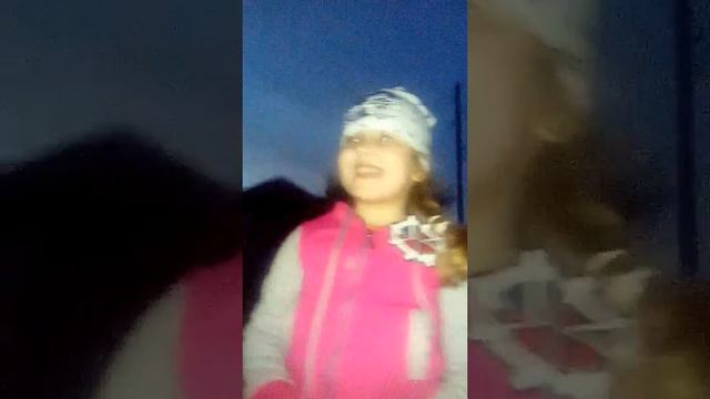 Живые животные смотреть онлайн