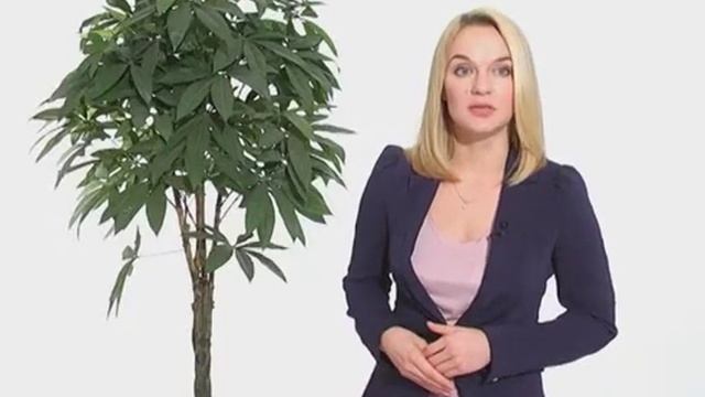 ГРАМОТНОСТЬ В МАССЫ: УДАРЕНИЕ В СИММЕТРИИ смотреть онлайн