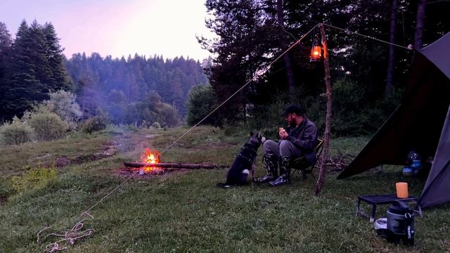TARP TENT / Camping by the Lake With my dog ? Camp Breakfast ⛺️ Campfire смотреть онлайн
