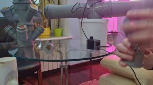 Аэропоника в домашних условиях.