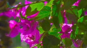 Ты любовь моя Господь ( Евгений Косенков и Юля Волкова)