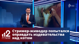 Стример-живодер попытался оправдать издевательства над котом Сеней