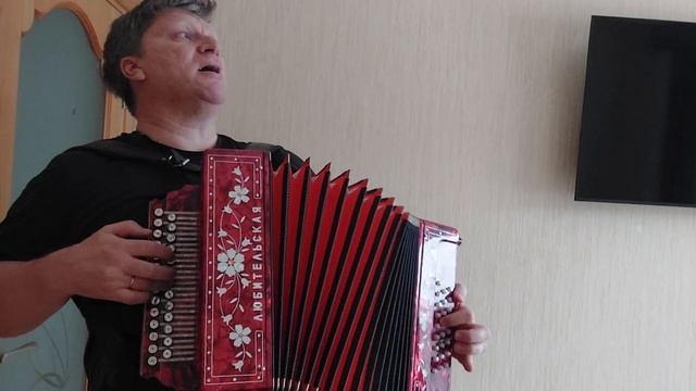 Спустилась ночь над засыпающими клёнами - на гармони смотреть онлайн