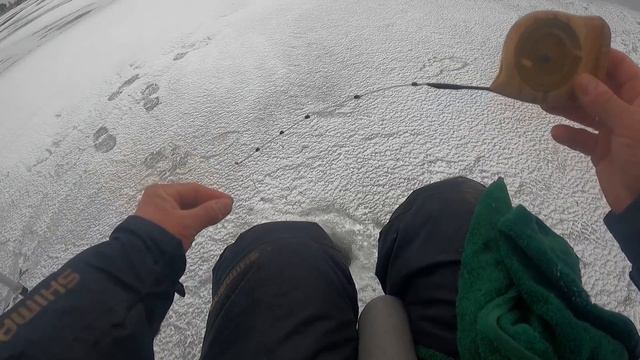 Снасть "ГИРЛЯНДА". Почему на нее ПОСТОЯННО КЛЮЕТ? Из чего она состоит и как работает. смотреть онлайн