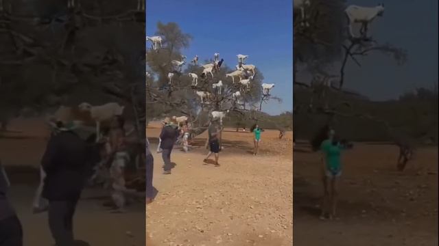 НЕУДАЧИ смотреть онлайн