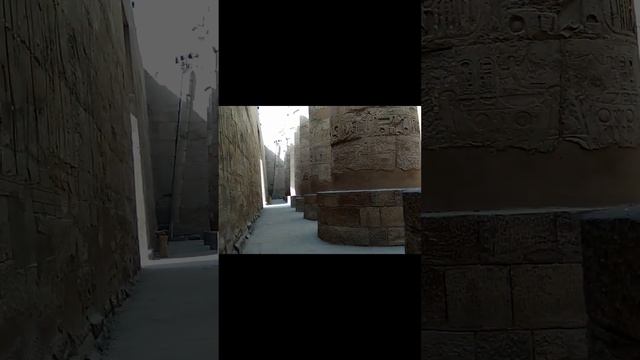 ЭТО MONTEZUMA RETURN НАЯВУ #шортс #shorts смотреть онлайн