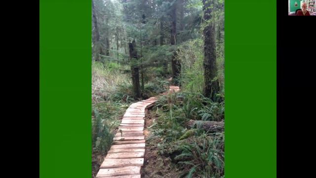 Old-Growth Forests Webinar Series #5: Guy Dauncey смотреть онлайн