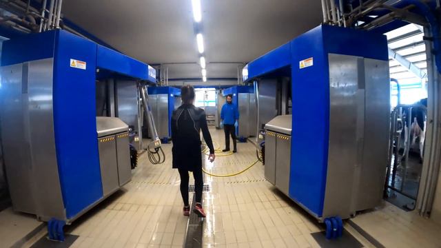 STALLA GESTITA DAI ROBOT | 26000 litri di latte al giorno смотреть онлайн
