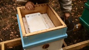Как приготовить лечебный сироп пчелам? Медовое сыто с лекарством. Обработка пчел перед зимовкой