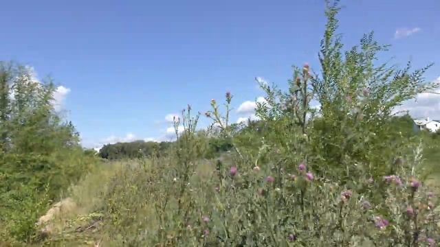 Озера за улицей Приозерной смотреть онлайн