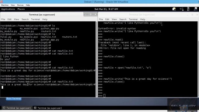 Python for beginner 039 File writing and appending смотреть онлайн