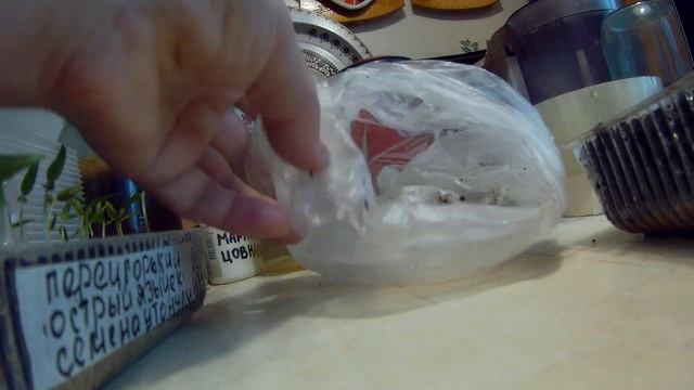 результат эксперимента с семенами лука и перца дача под Архангельском смотреть онлайн