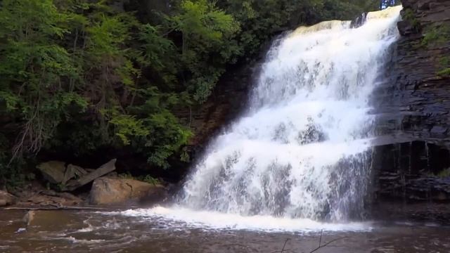 БУ МАЬРУЗАНИ ЭШИТИБ ТЎЙМАЙСИЗ НАҚАДАР ГЎЗАЛ
