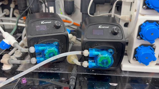 Water Changes - From Start to End on the Dream Reef смотреть онлайн