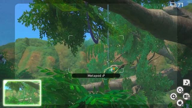 Dangling Metapod | Request | New Pokemon Snap Guide & Walkthrough смотреть онлайн
