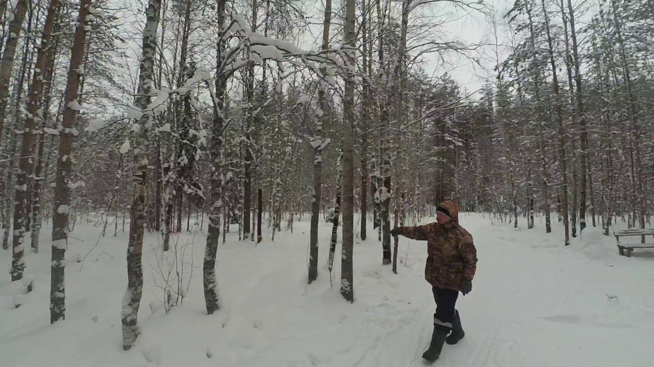 Покатухи на снегоходах