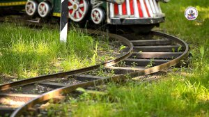 Клип Паровоз Букашка