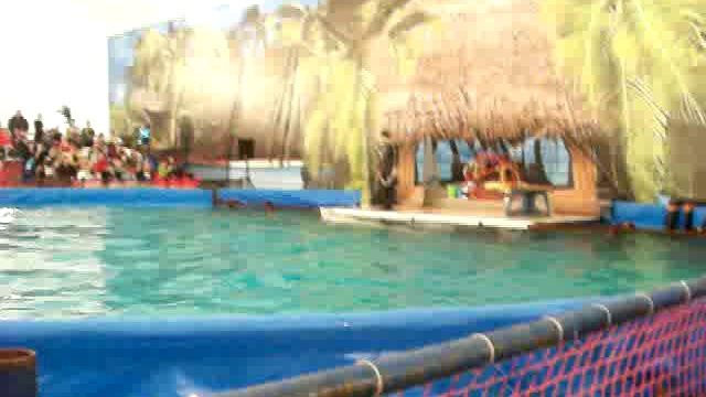 Дельфинарий  Самаре