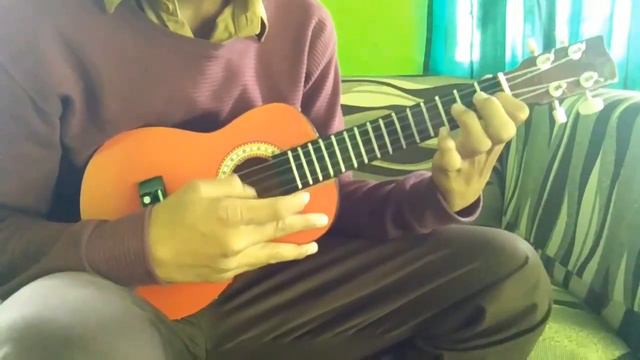 Super Mario Versi Ukulele смотреть онлайн
