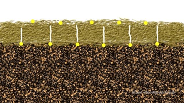 Борьба с сорняками смотреть онлайн