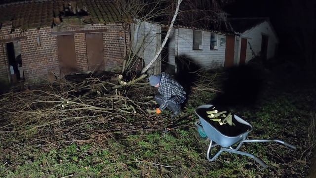 Cutting wildly grown trees in the courtyard of an abandoned farm [ monotonous WORK ] смотреть онлайн