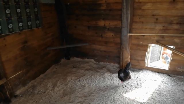 Строительные Новости